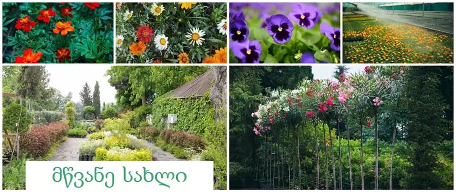 Green House banner image